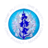 Bluebells School International