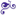 Bluebell Wholesale