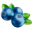 Blueberry Patch Motel & Cabins