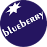 Blueberry Ltd