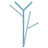 Blue Birch