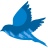 Bluebird Moving