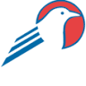 Blue Bird Inc
