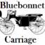 Bluebonnet Carriage Co