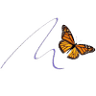 Bluebonnet Montessori School of Lakeway