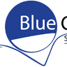 Blue Chip Strategies Ltd