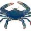 Blue Crab Antiques, Inc.