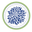 Blue Dahlia Designs