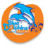 Blue Dolphins Diving Lampedusa