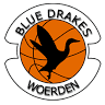 Basketball court Blue Drakes Essenlaan