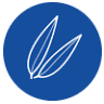 Blue Eucy Pure Australian Oils