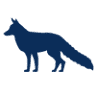 Bluefox Production