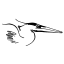 Blue Heron Fine Art