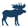 Blue Moose Pizza Beaver Creek