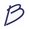 Bluengineering Srl