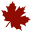 Williams Maple Farm
