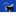 Blue Ridge Animal Clinic