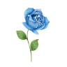 Blue Rose Bed and Breakfast