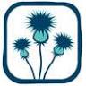 Blue Thistle Acupuncture + Herbal Medicine