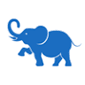 Blue Tusk Athlete's Acupuncture