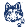 Blue Wolf Travel