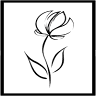 Blume Haus Fine Flowers
