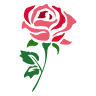 Blumen Albrecht Gärtnerei Albrecht-Imöhl