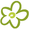 Large Brintrup - Florist & Nursery