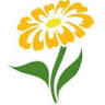 Blumen Dani