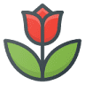 Blumen Debus