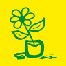 Forscheln flowers and plants