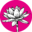Blumen Jansen GbR