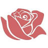 Blumen Koch