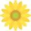 Blumen Löschner