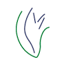 Blumen Meinhardt GmbH