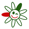 Blumen Pfeifer Pflanzenwelt | Paderborn | Floristik