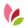 Blumen Rohde