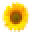 Blumen Schad