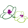 Blumen Schneider