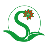 Blumen Schuster