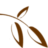Blumen Müller