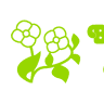 Blumen Siegle