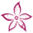 Blumen Sturm