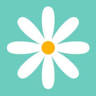 Blumen Wimmer