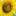 Blumenwelt Zemlizka