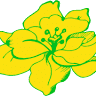 Blumen Fleischmann GmbH