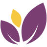 Blumenhaus Wappler