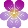 Blumen Hof Inhaberin Viola Kuly