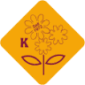 Blumen Koch