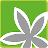 Schmidt Blumen